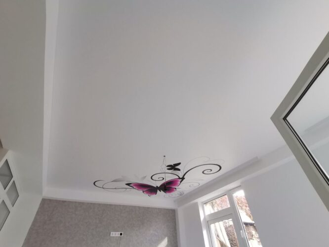 photo_2022-11-24_16-34-27