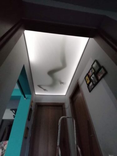 photo_2022-11-24_16-35-34