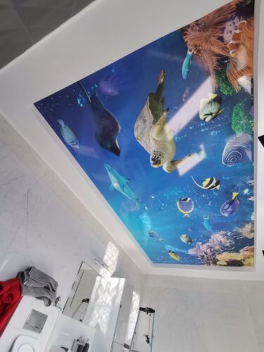 photo_2022-11-28_12-47-29 (2)